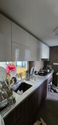 Parc Olympia (D17), Condominium #519809821